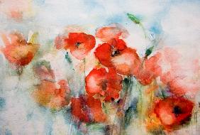 Mohnblumen Aquarell