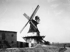 Windmuehle mit Muellerhof,Buesum/Foto