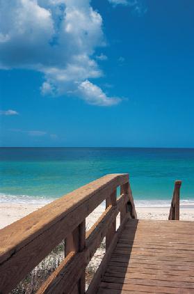 Wooden bridge over sand dunes enter beach (photo) 