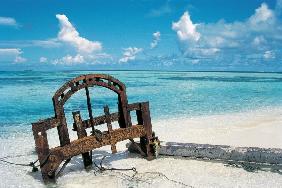 Wreckage of ship basking in shell-white sands (photo) 