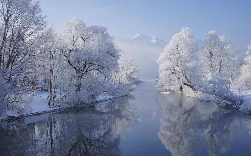 coldest morning von Norbert Maier