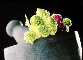 Romanescu in granite pestle & mortar, 2001 (colour photo) 