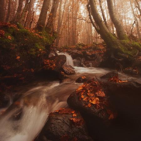 FALLENDES WASSER IM HERBST (Teil 2)