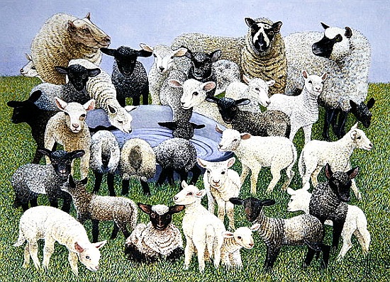 Feeling Sheepish von Pat  Scott