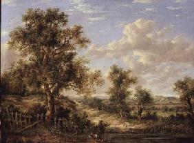 Landscape