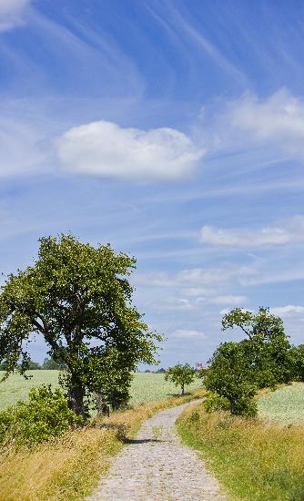 Landschaft der Uckermark in Brandenburg von Patrick Pleul