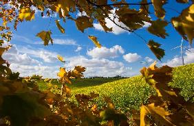 Herbstlandschaft in Brandenburg