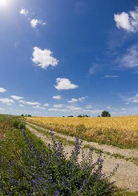 Landschaft der Uckermark in Brandenburg