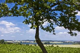 Landschaft der Uckermark in Brandenburg