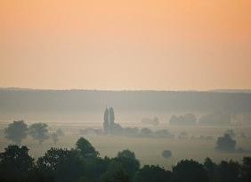 Morgenstimmung im Oderbruch