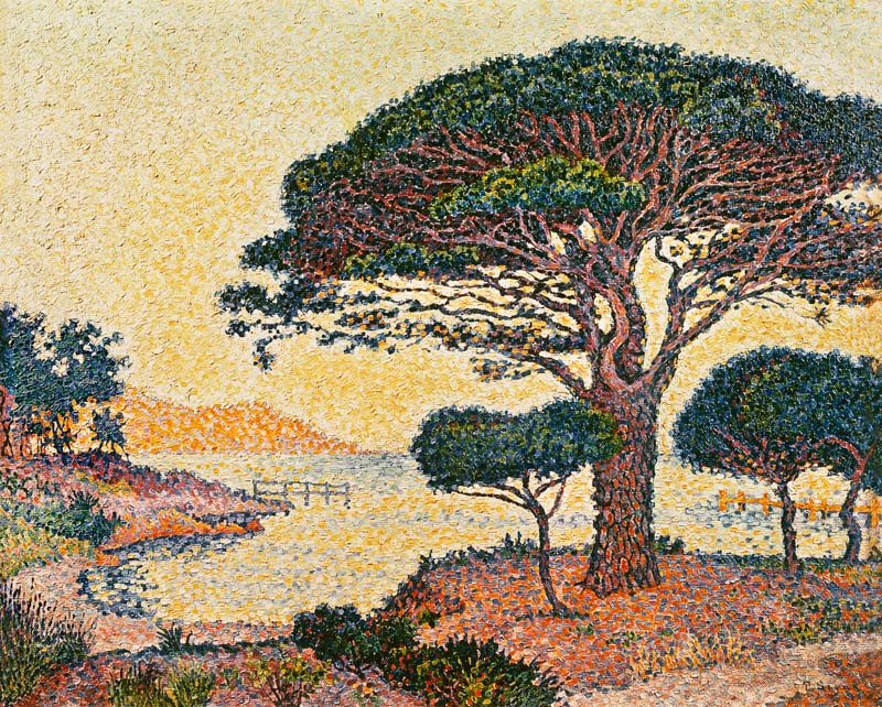 Le Pin Parasol aux Caroubiers von Paul Signac