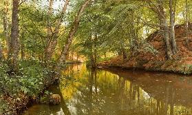 Frühlingstag am Waldbach 1904