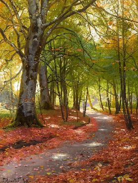 Sonniger Herbsttag im Wald 1895