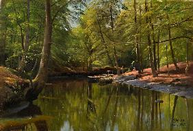 Sommertag am Waldbach 1905