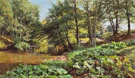 Sonniger Maitag am Waldbach 1904