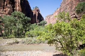 Zion Nationalpark Utah USA