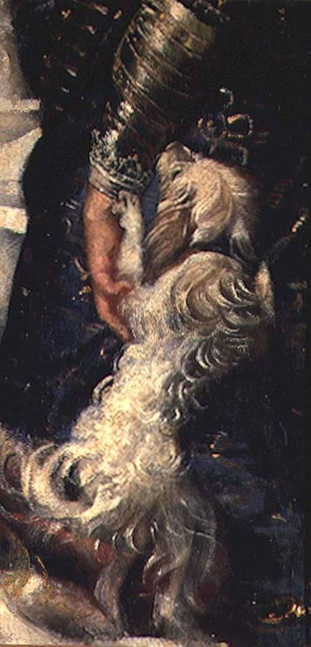 Rampant Puppy von Peter Paul Rubens