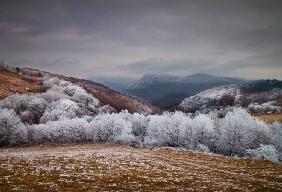 Frosty breath