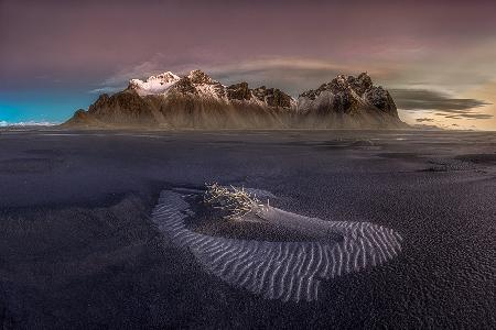 Die letzte Insel im schwarzen Sand