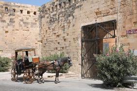 Pferdekutsche in Valetta, Malta