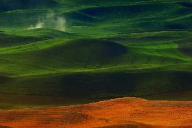 Morning in Palouse