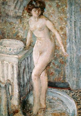 Nu à la toilette (Akt bei der Toilette) 1907