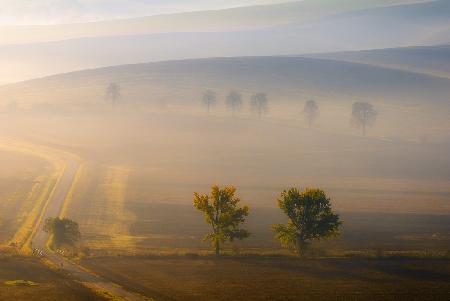 Im Nebel