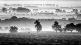 morning view - Piotr Krol (Bax)