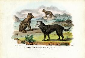 Dogs 1863-79