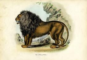 Lion 1863-79