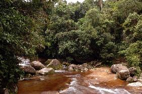 Brasilien - Touristenziel Ilha Bella