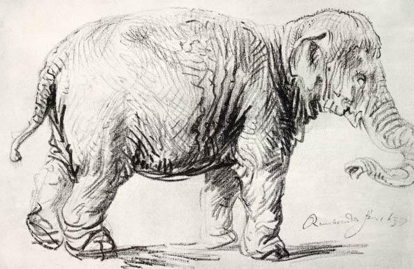 An Elephant 1637