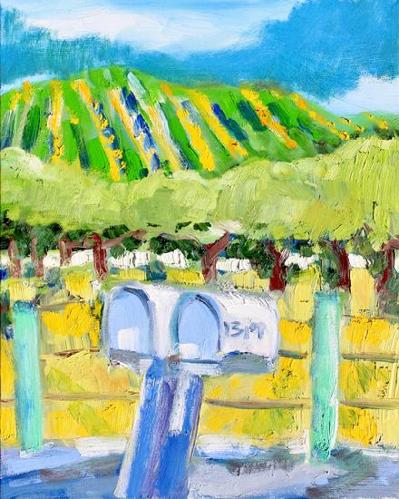 Mailboxes and Vineyard, Napa 2019