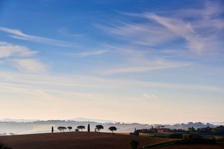 Silhouetten Landschaft mit Pinien und Zypressen in Umbrien 2016