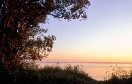 Sonnenaufgang im Rheinspitz, Bodensee 2000