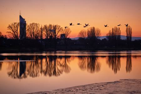 Sonnenuntergang an der Alten Donau mit Blick auf den Millenniums Tower  2021