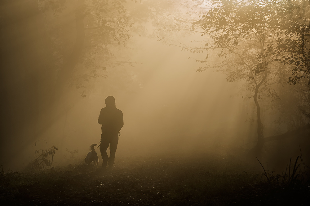 ein Spaziergang im Nebel von Roberto Marini