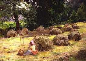 Haytime