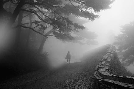 Schloss im Nebel