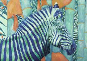 Zebra 2004