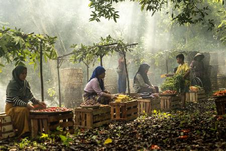 Tangerang-Markt