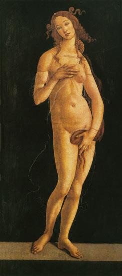 Venus 1485/90