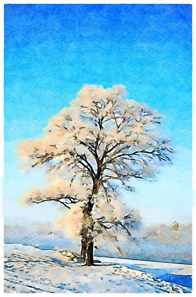 Tree in the snow von Saskia Ben Jemaa