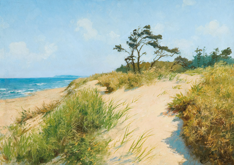 strand mit Dünen von Hermann Seeger