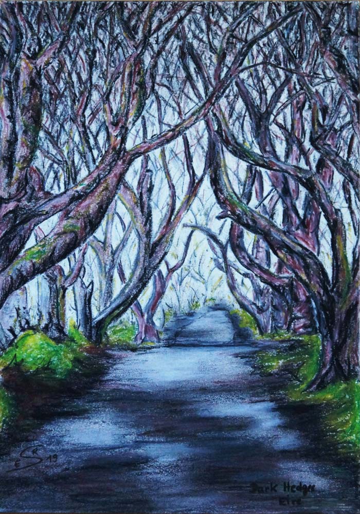 Dark Hedges in Eire von Eva Seltmann-Reinig