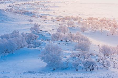 Eine Welt aus Eis und Schnee