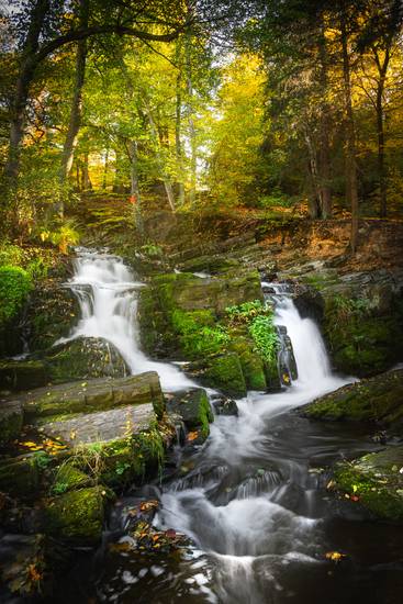 Herbst im Selketal 2022