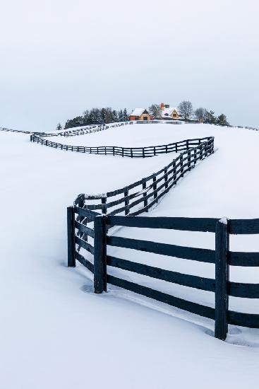 Winter Wunderland