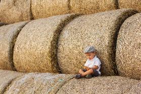 Haystacks