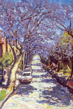 North Sydney Jacaranda, 1990 (oil on canvas) 